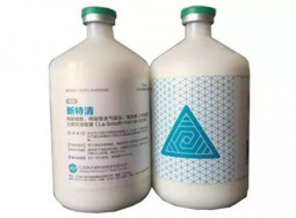 一針三防，省時(shí)省力，新型“傳支”，“毒”特呵護(hù)